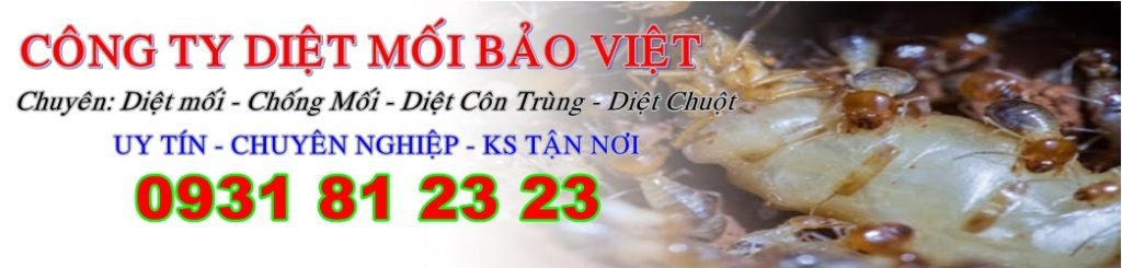 DIỆT MỐI BẢO VIỆT‎ ✓0974 89 1020
