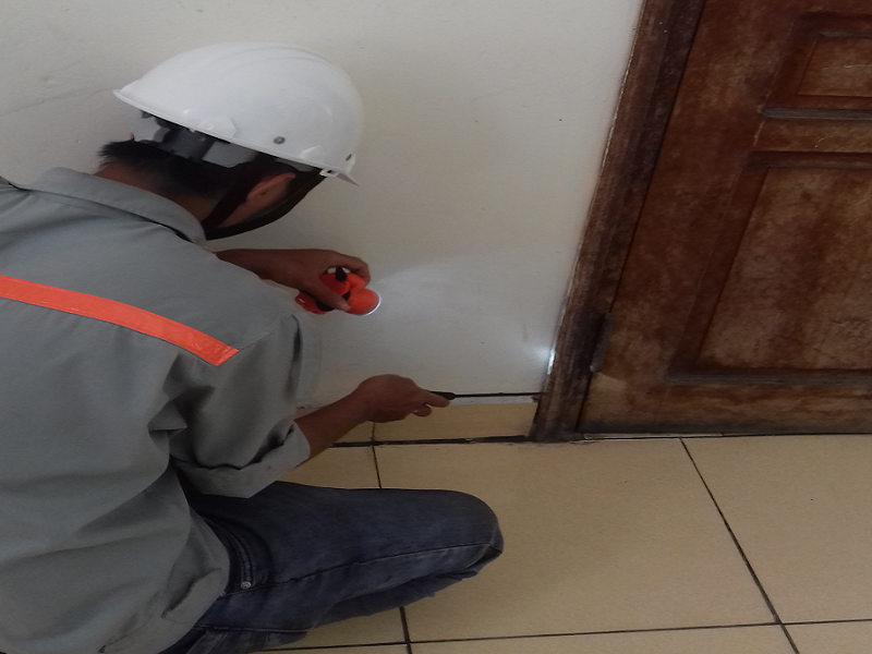 Khảo sát điểm nóng mối