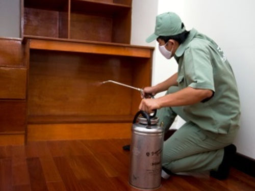 Bàn giao hướng dẫn phòng ngừa